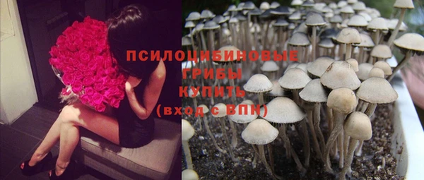 гидропоника Магадан